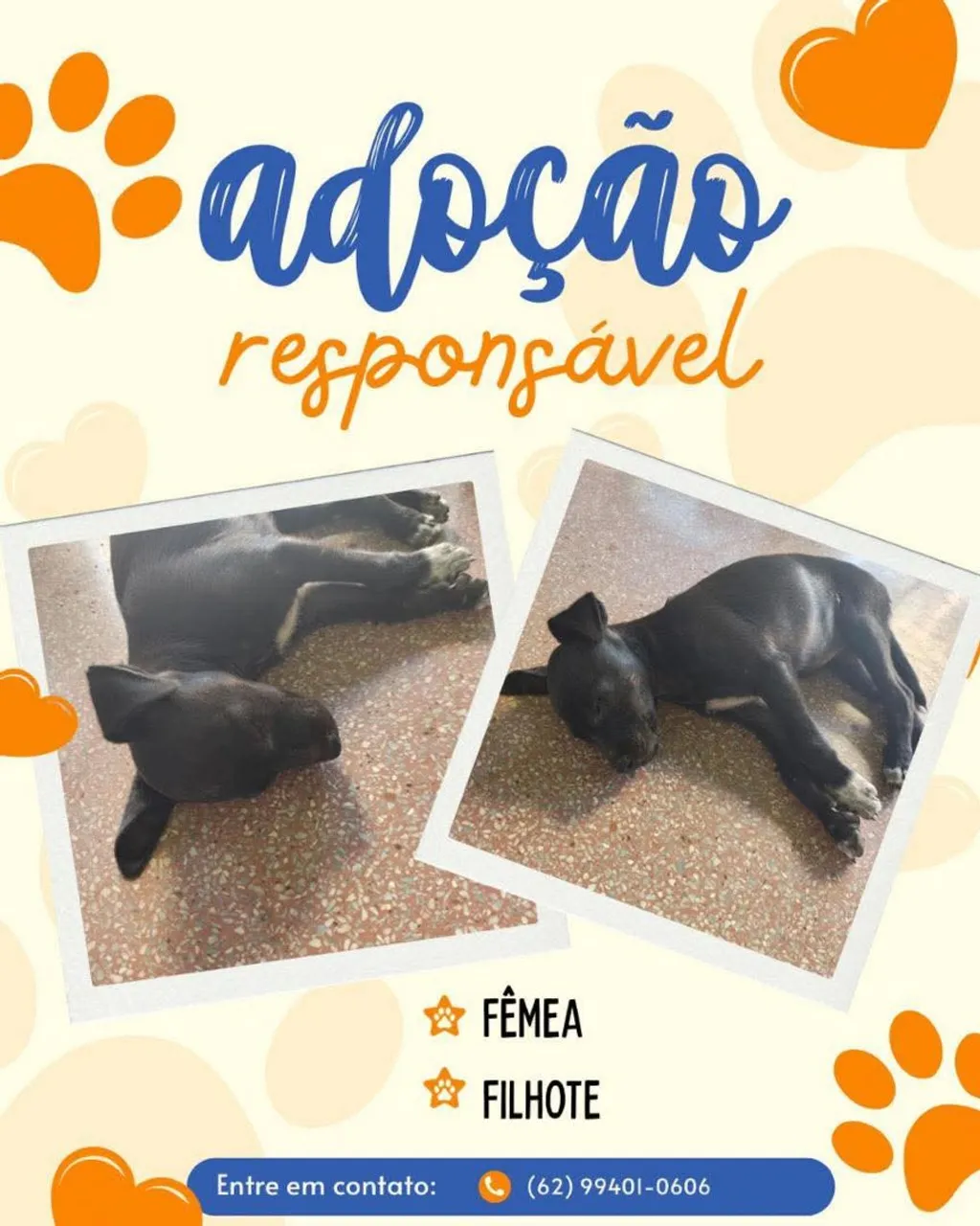 Urgente! Socorro! Adoção responsável - Fêmea
