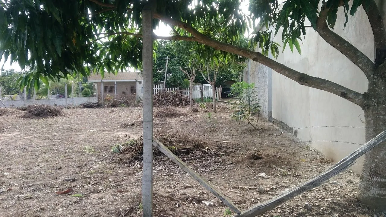 TERRENO NO IRANDUBA