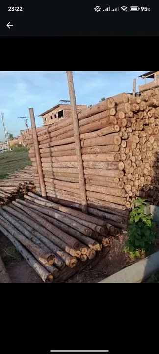 Estronca de eucalipto  - Foto 2