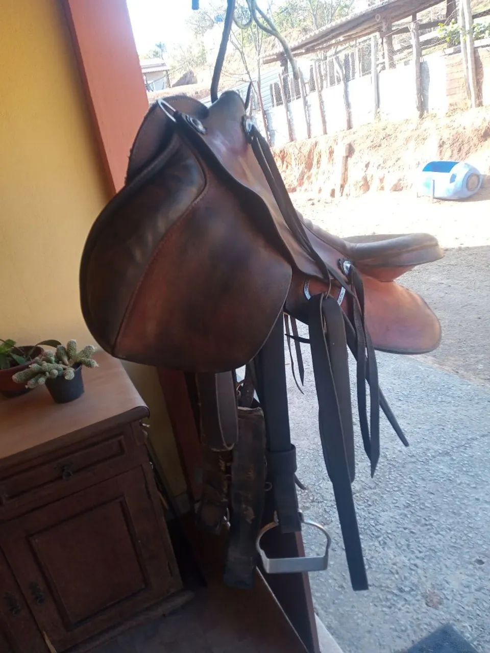 Sela australiana  - Foto 2