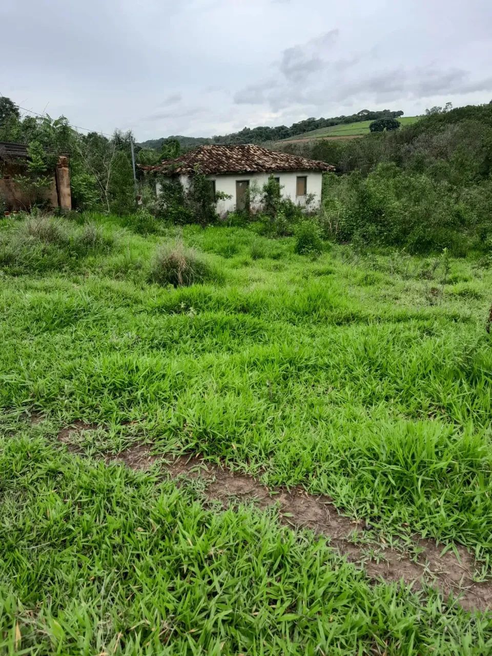 Sitio em Desterro de Entre Rios  MG  Casa antiga centenaria boa topografia e agua corrente - Foto 3