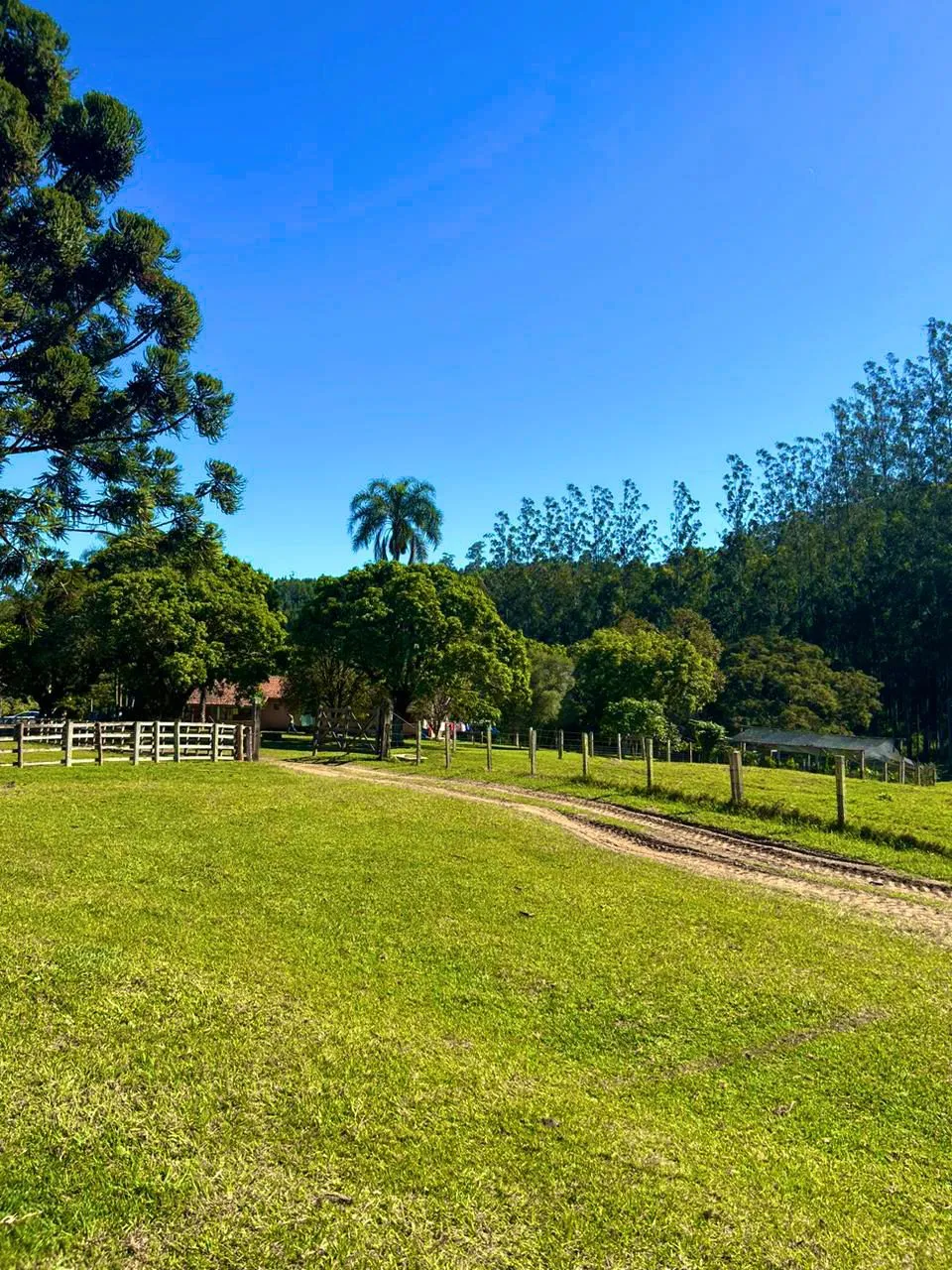 Seu Espaço de Paz em Figueiras Natureza e Tranquilidade
