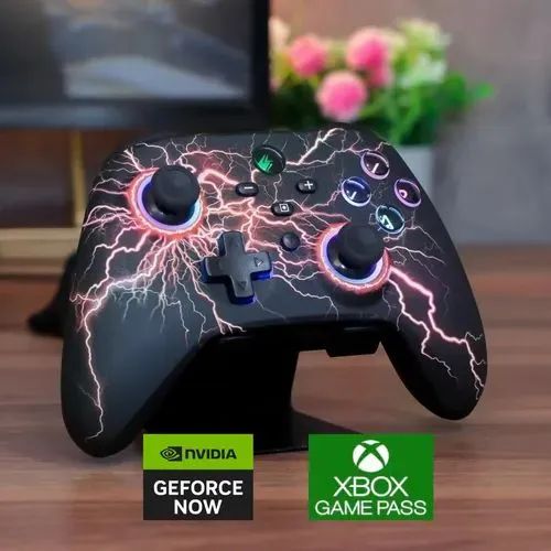 Controle com 2 gatilhos atrás 