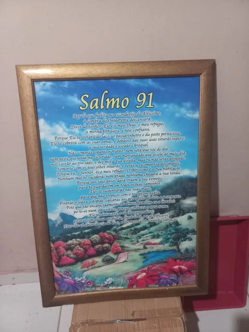 Quadro Salmo 91 - Decoração e Fé