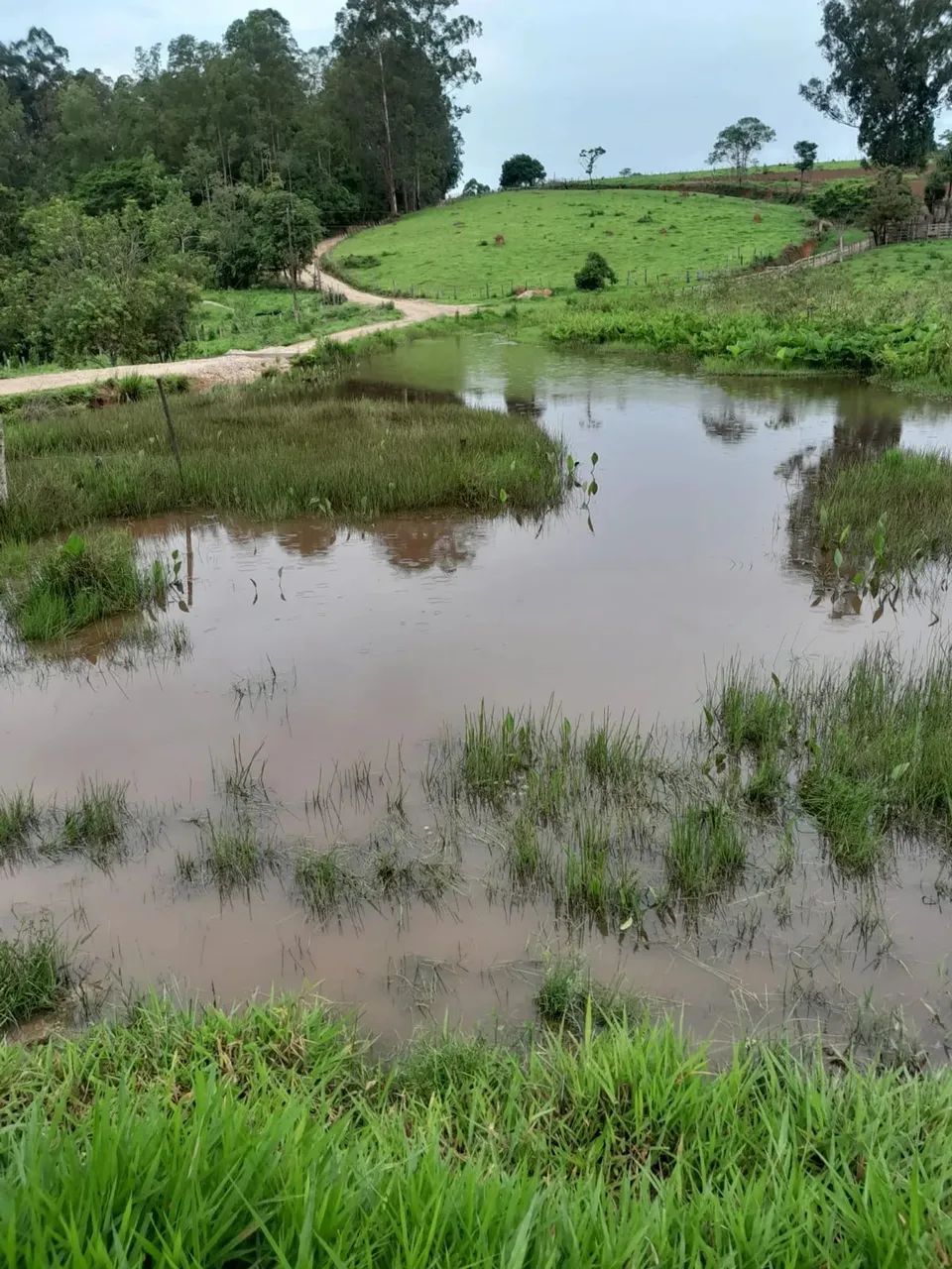 Sitio em Desterro de Entre Rios  MG  Casa antiga centenaria boa topografia e agua corrente