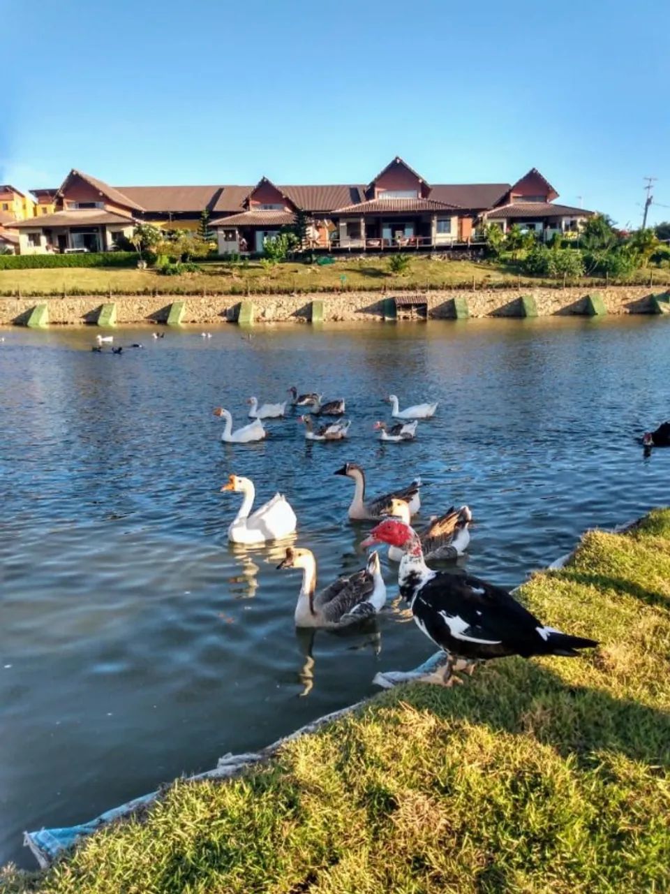 Flat 3 Qts, Perto das piscinas e próximo ao lago - Foto 5