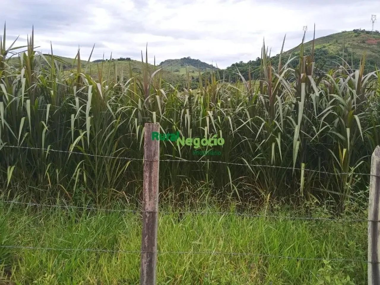 SÍTIO MARGEADO PELA REPRESA DE FURNAS EM RESENDE-RJ - Foto 5