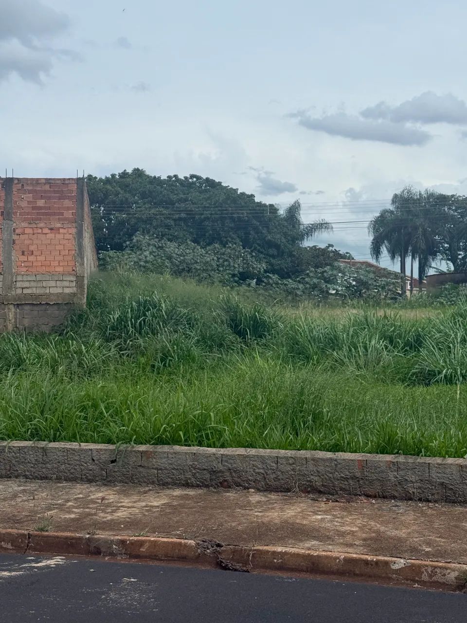 Terreno 420m Cidade Universitária - aceito veículos - Foto 4