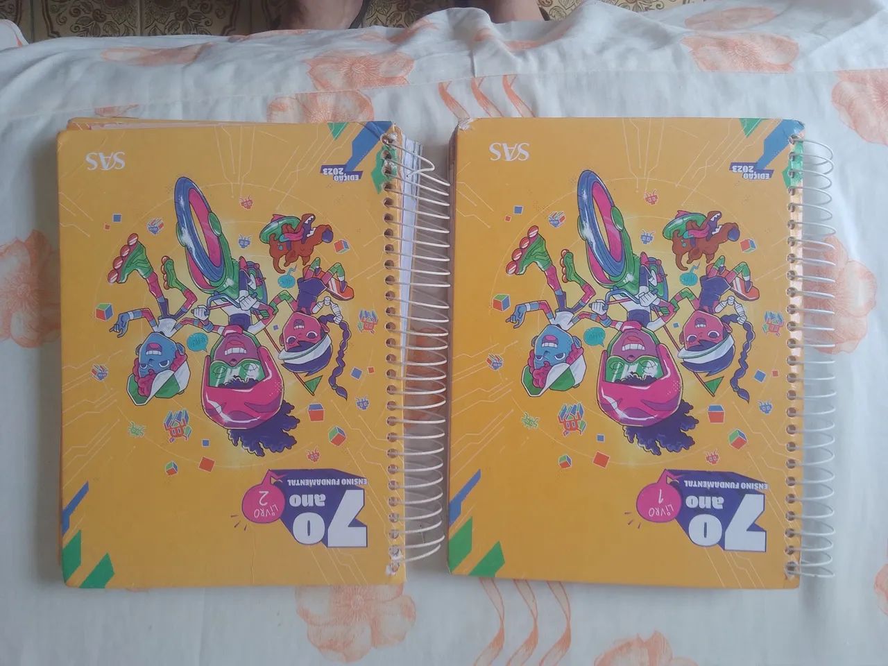 Livro do 7 ano