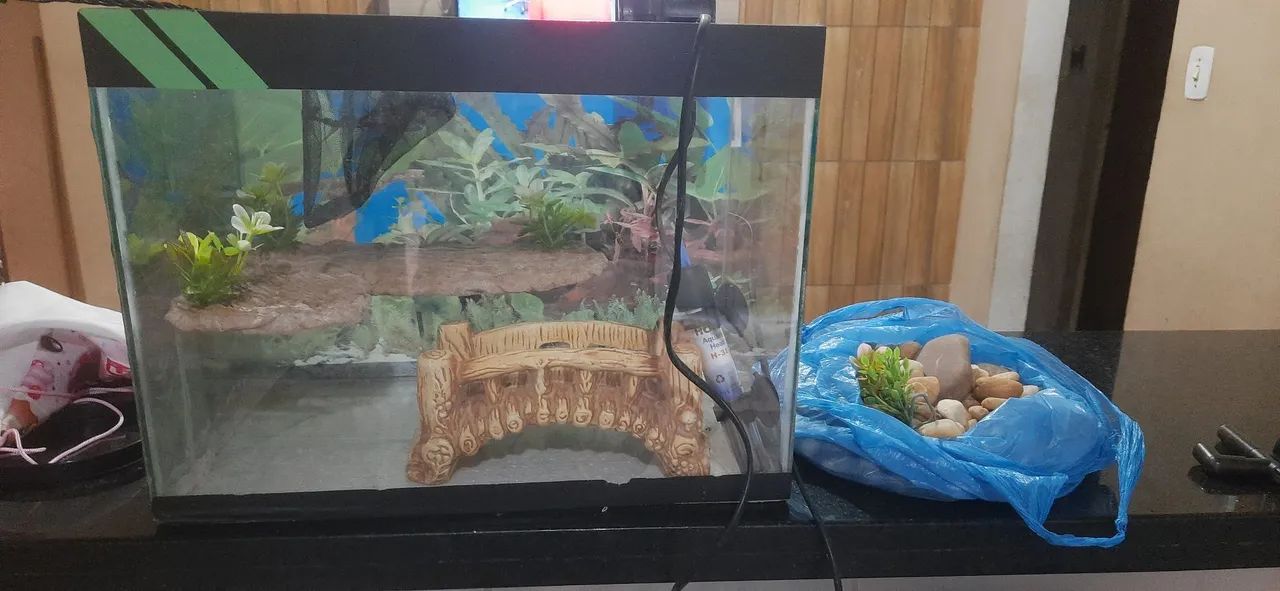 Aquário completo com acessórios - Foto 3