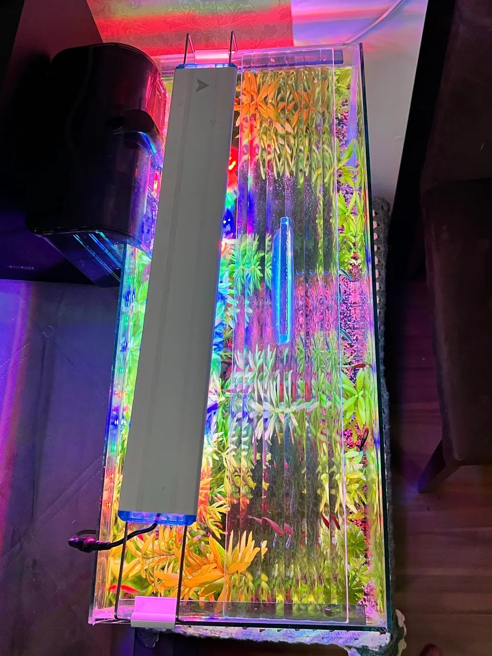 Aquário 50l + Acessórios 