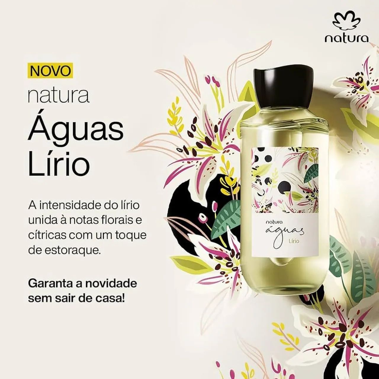 Natura águas lírios 