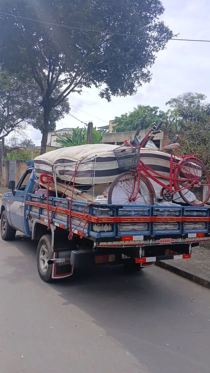 Frete em geral e mudança 
