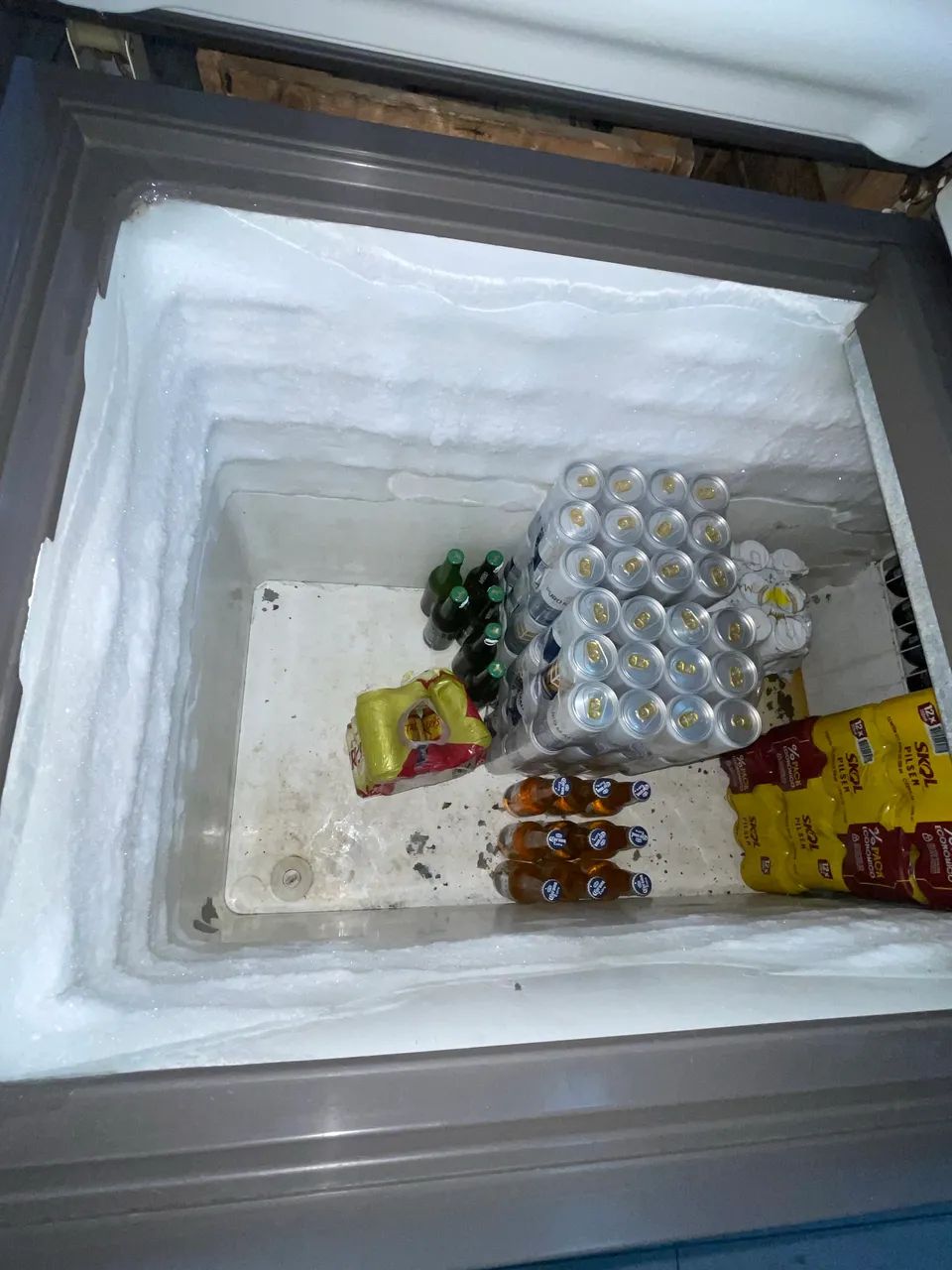 Freezer vertical 
