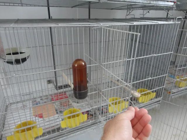 GAIOLA CRIADEIRA PARA CANÁRIOS DE COR E PORTE, AGAPORNIS, PERIQUITOS, ETC... - Foto 4