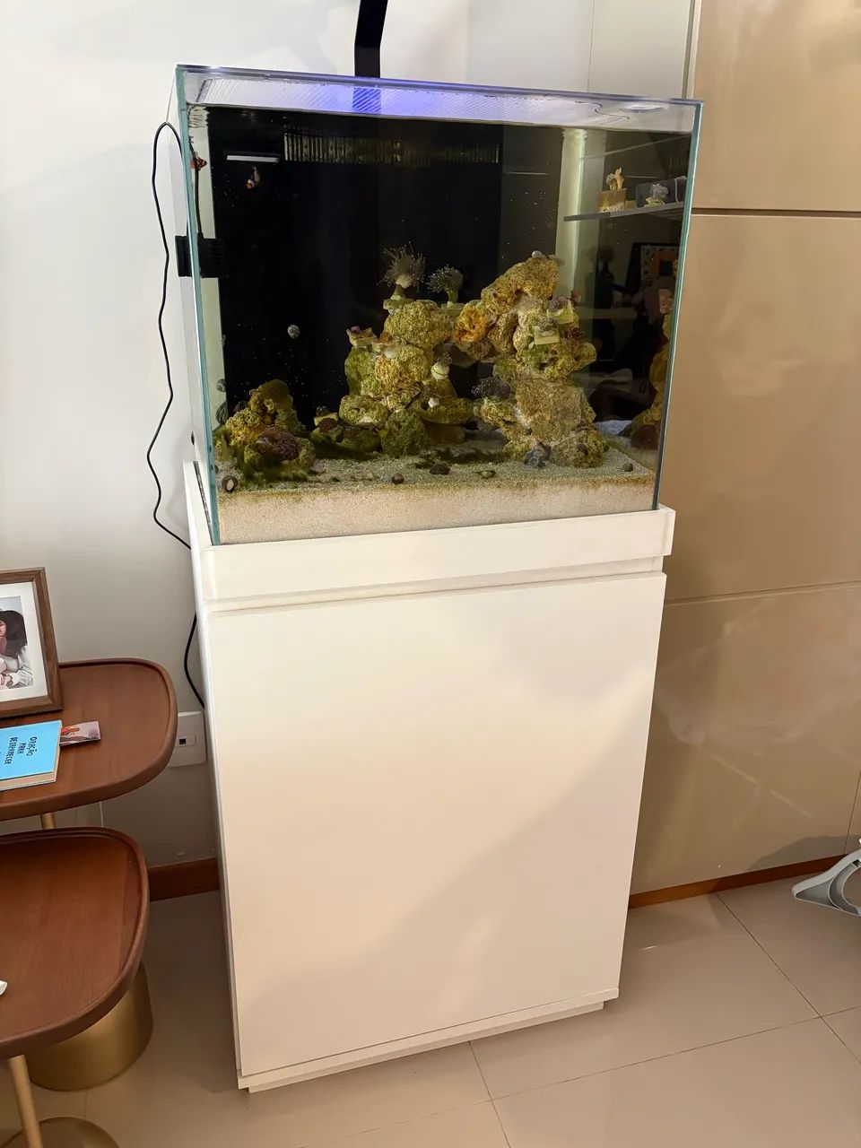 Aquário completo com móvel e sump