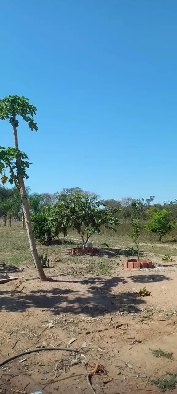 CÓD026 -  Área 97 ha Formada com Rio Aquidauana | Terenos  Ponte do Grego - Foto 5