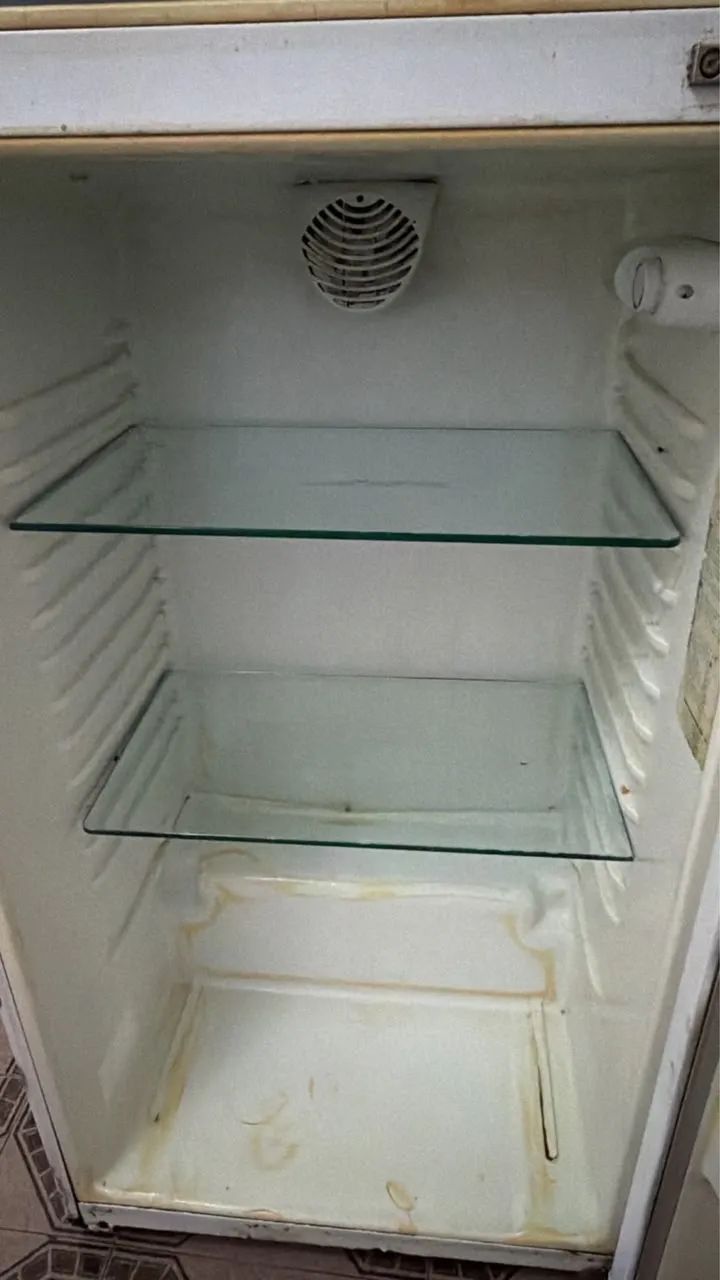Geladeira continental - 330 LITROS - Foto 2