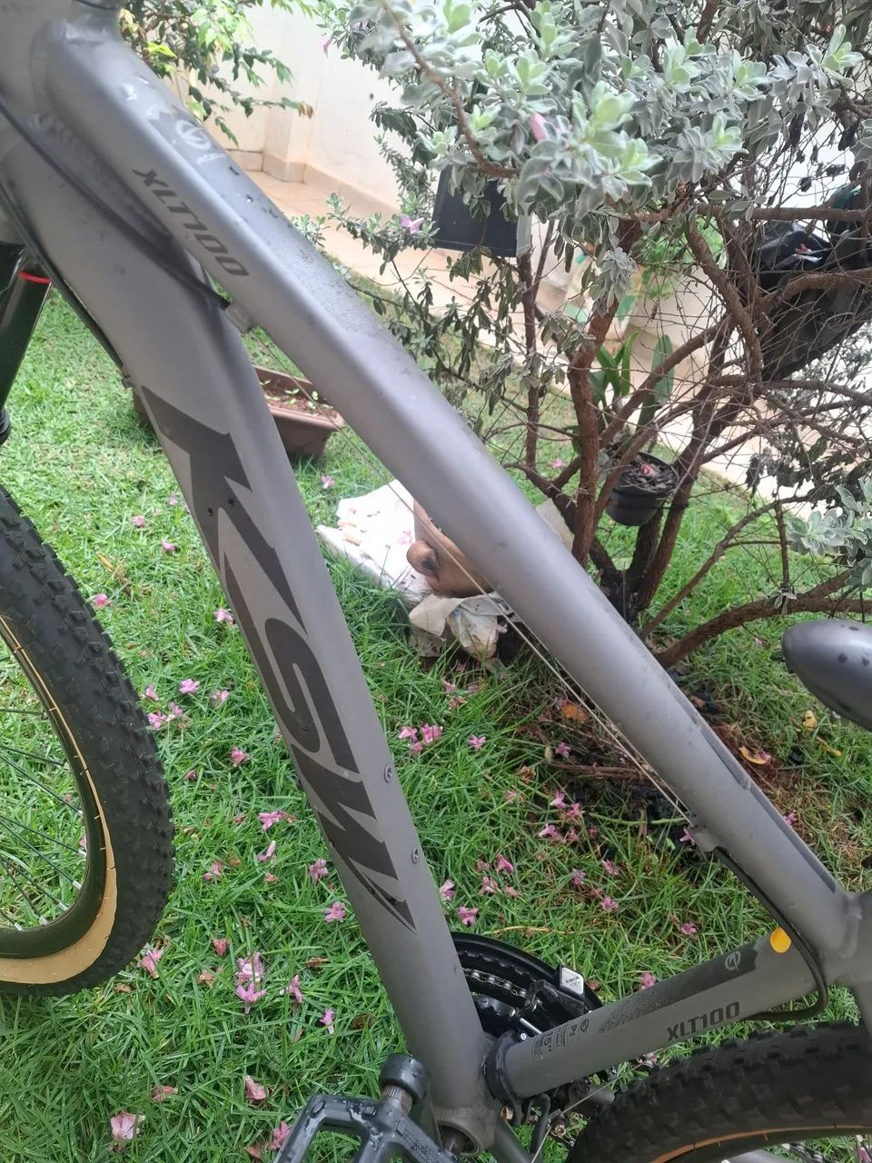 Bicicleta KSW - Foto 2