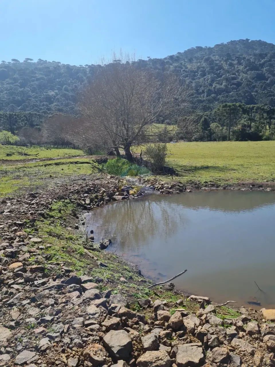 Terreno Rural com Benfeitorias - Urubici/SC - Foto 5