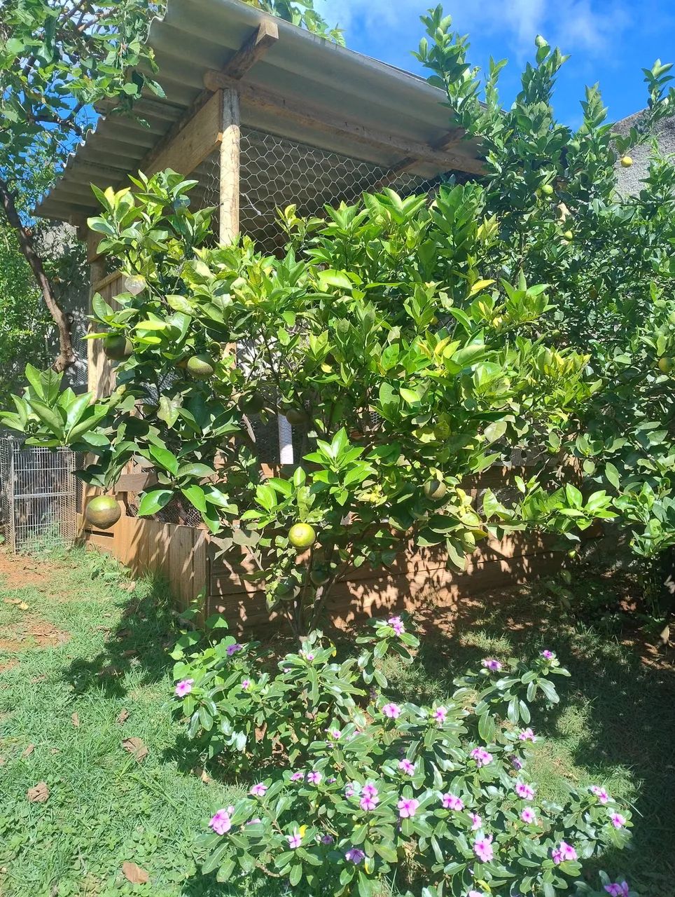 Linda casa a venda ou aluguel em igarapé  - Foto 3