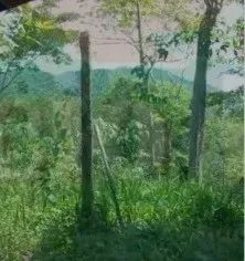 SAQUAREMA - Loteamento/Condomínio - BACAXA - Foto 4
