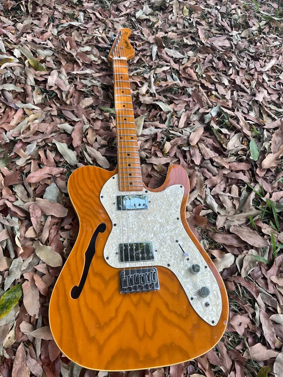 Guitarra Telecaster Thinline  - Foto 5
