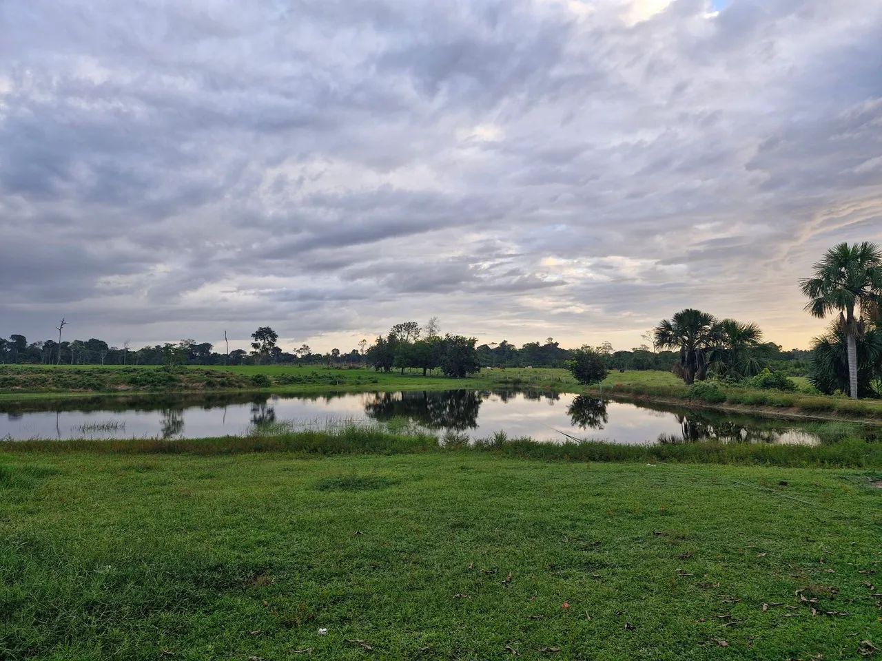 Vende se lote 60 hectares, na vicinal 16 km 7, próximo a Vila nova colina - Foto 5