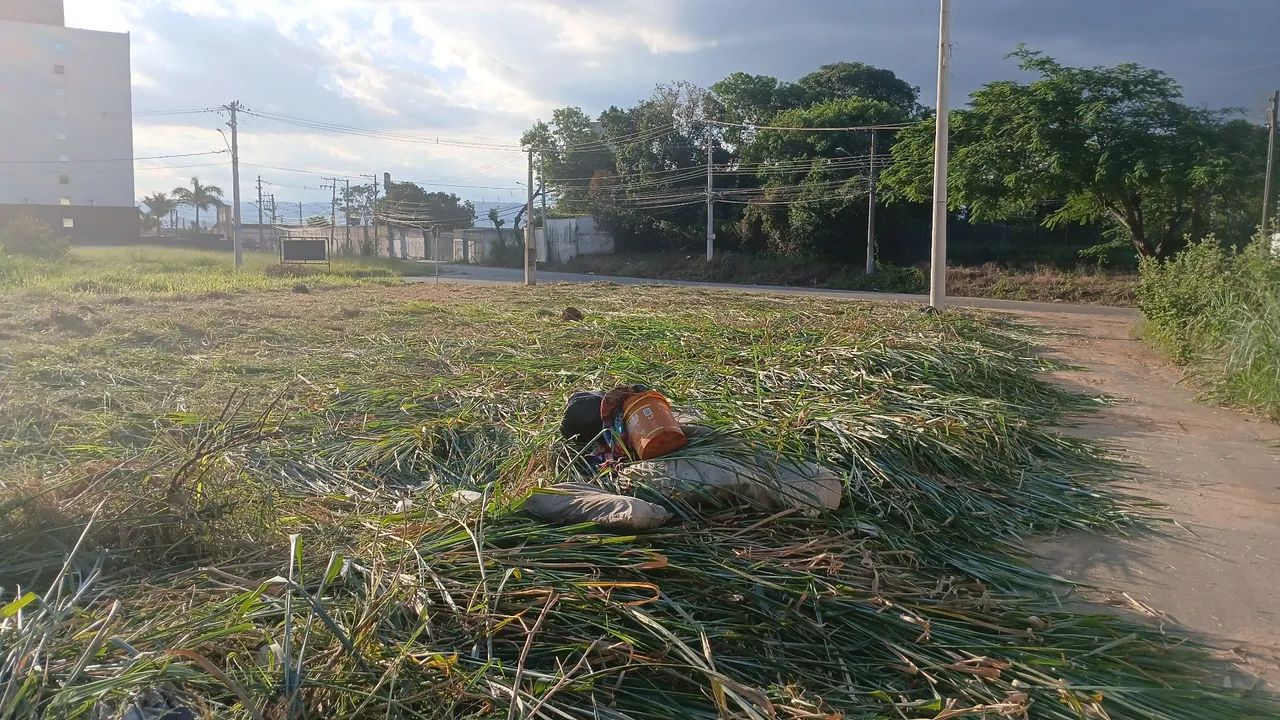 Limpeza de terreno  - Foto 2