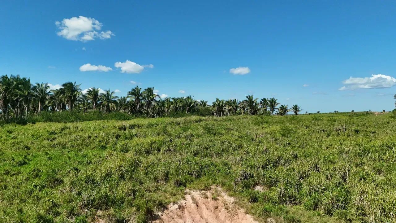 Terreno em Bom Jardim Marahão - Foto 5