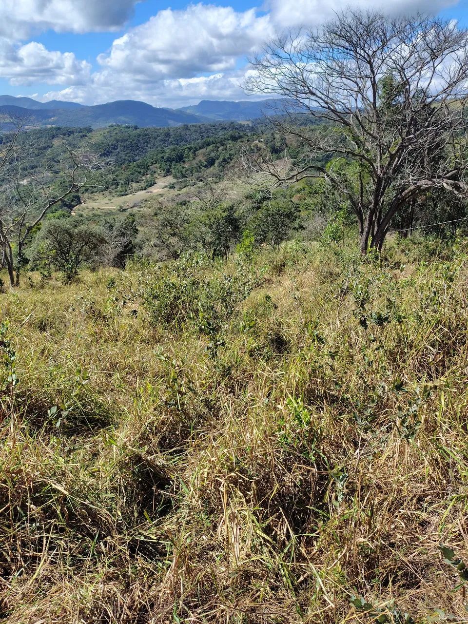 Chácaras em Taquaraçu de Minas 