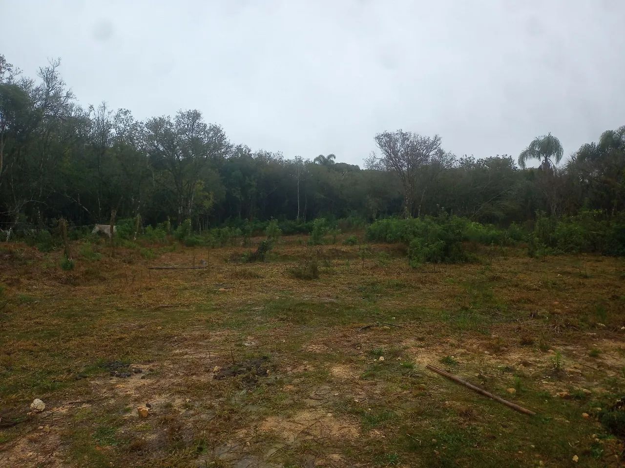 Área para formar chácara  - Foto 2