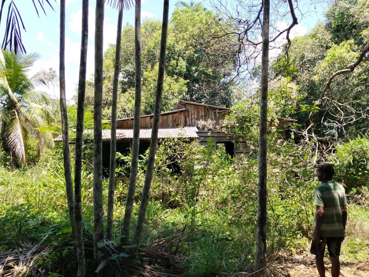 10 hectares alcoobras 50 mil - Foto 4