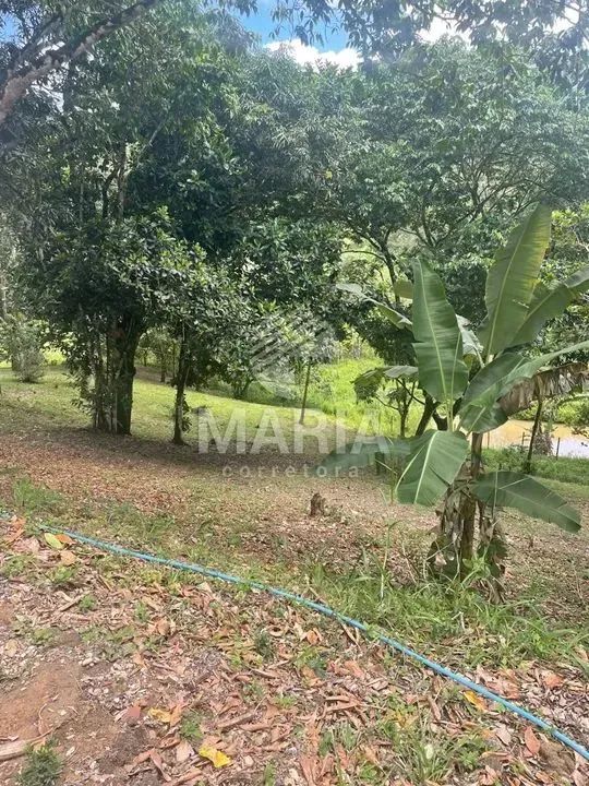 Sítio com 2.1 Hectares em Gravatá/PE! - Foto 4