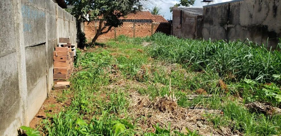 lote no setor parque trindade  trindade III-Aparecida de Goiânia - Foto 3
