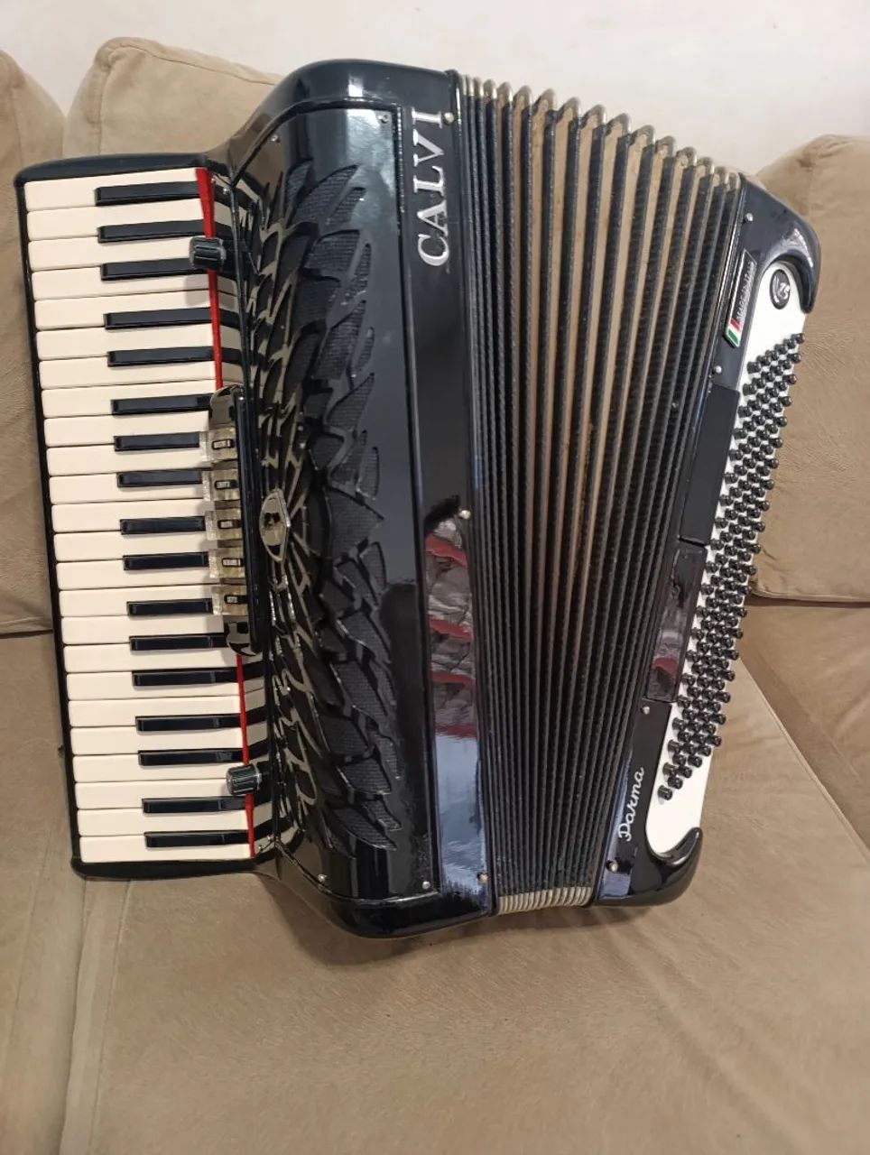 Acordeon, sanfona 