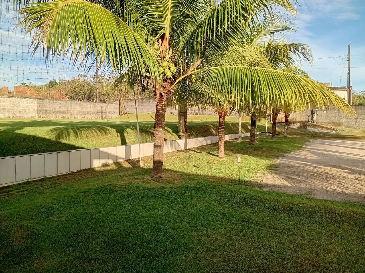 Foto - Aracaju - Bugio