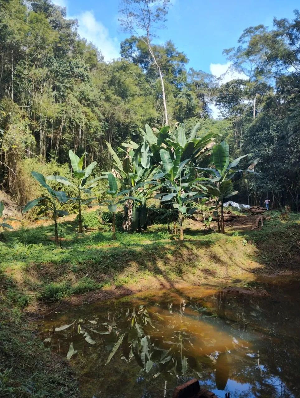 Terreno com area para plantio e agua ,escriturado e registrado  - Foto 2
