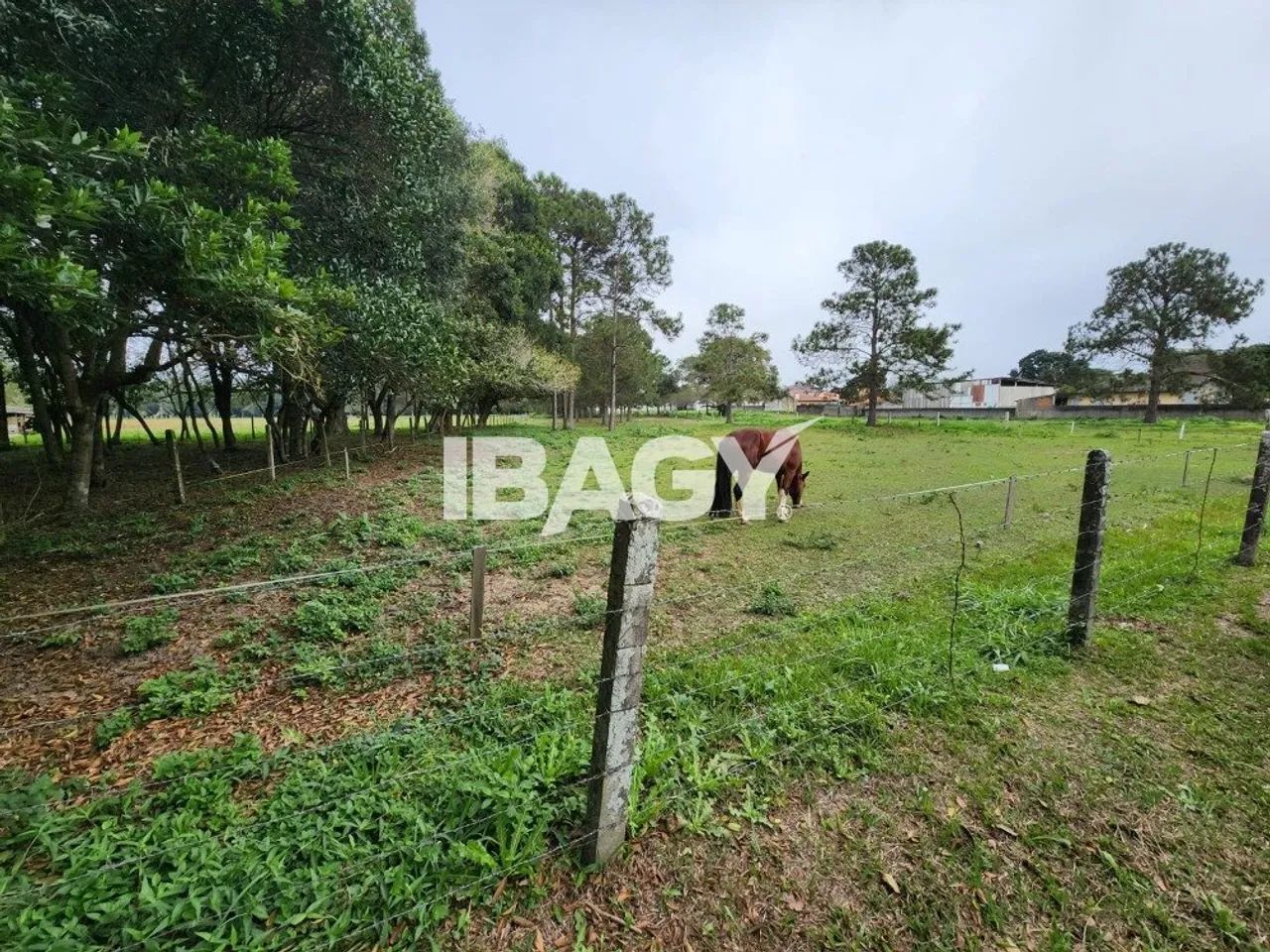 Oportunidade! Terreno em Canasvieiras - Florianópolis - Foto 4