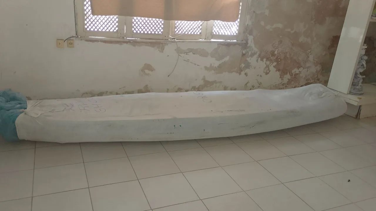 Caique  - Foto 2