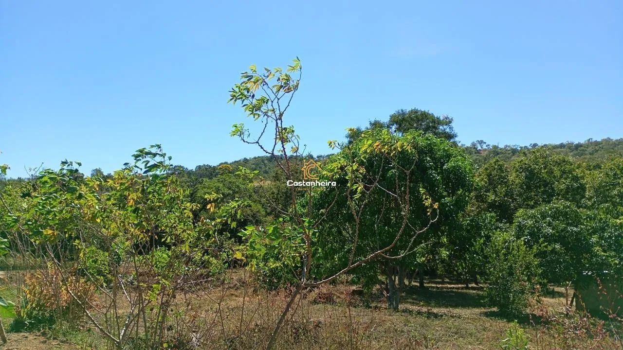 Chácara | Sítio - Curso D'água Perene - 6,25 hectares - Serra do Lajeado - Foto 5