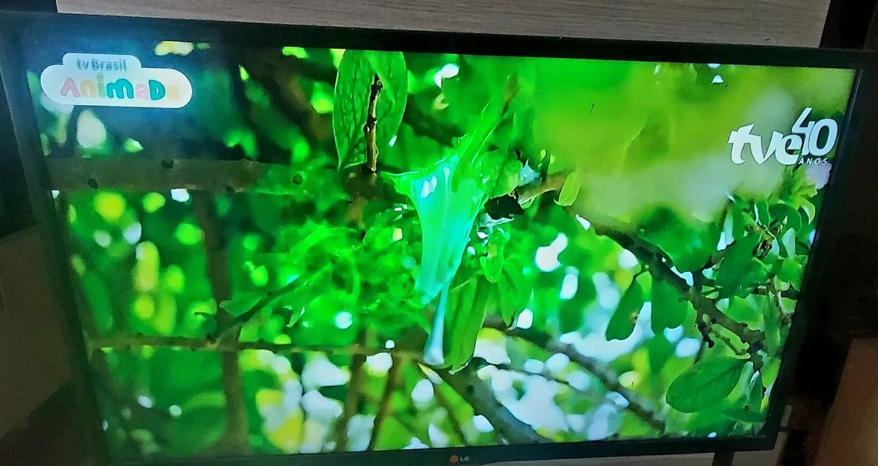 SMART TV LG 43 Polegadas Aceito cartão de crédito 