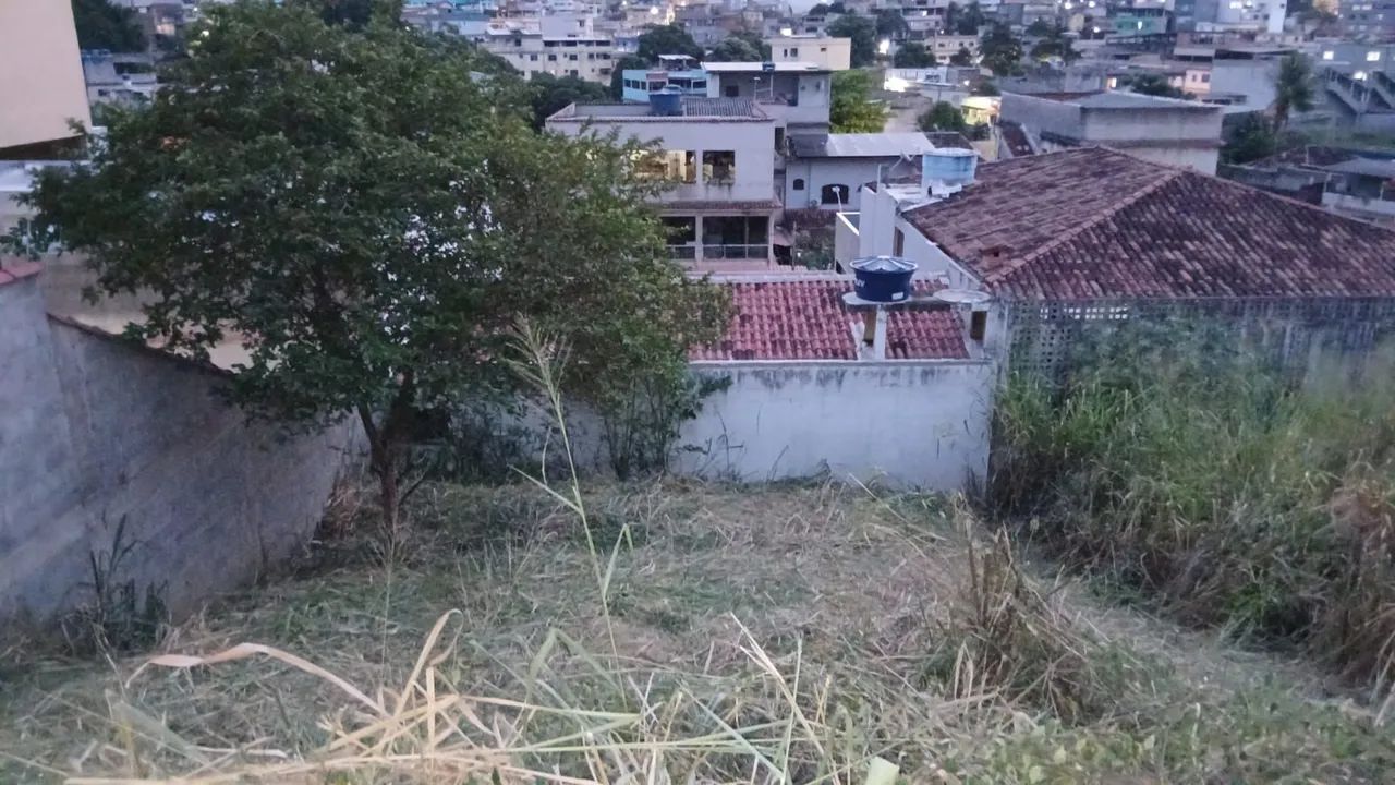 Corte de mato  - Foto 3