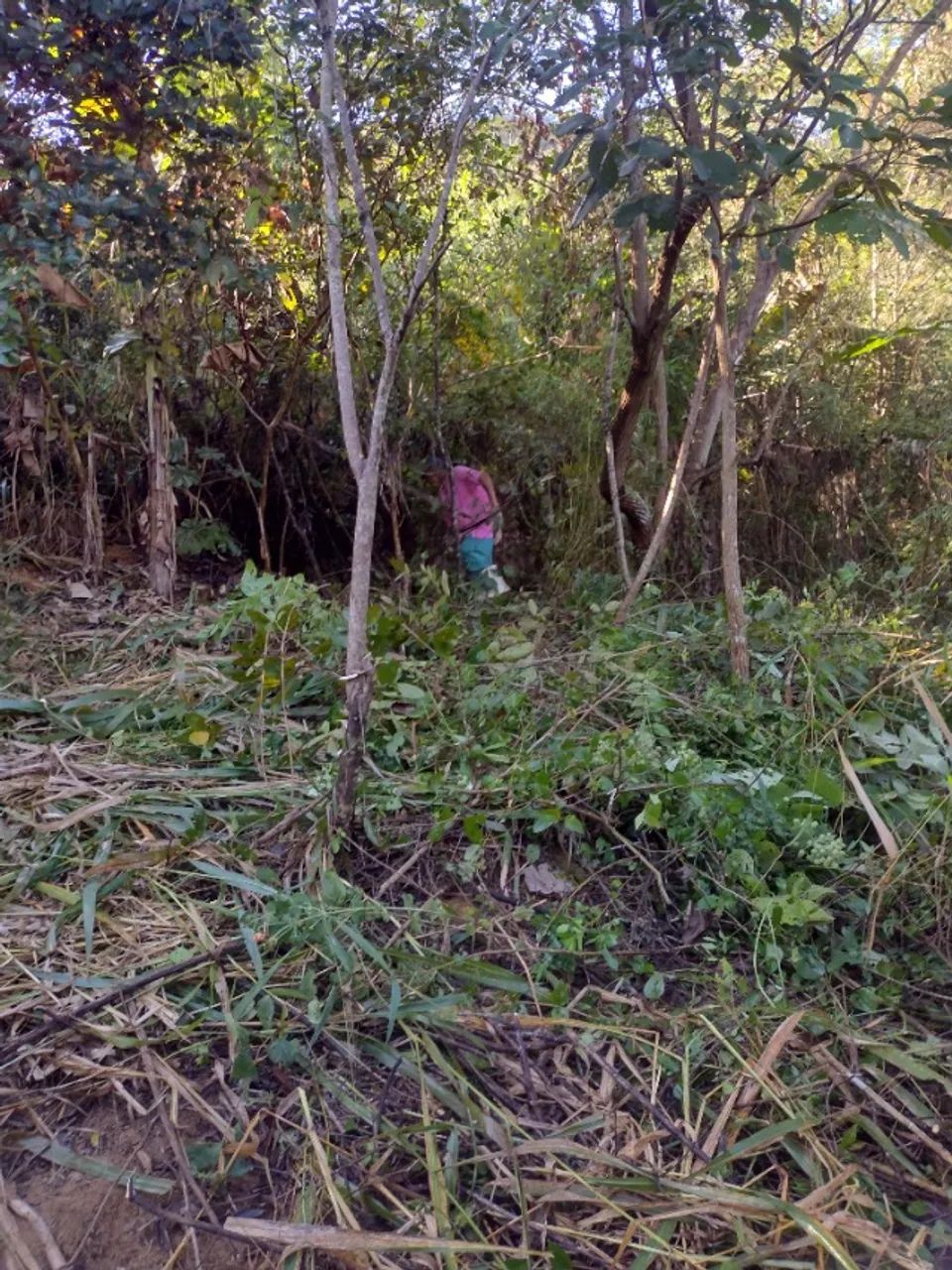 Terreno em Duas Barras - Municipio de Anchieta - ES