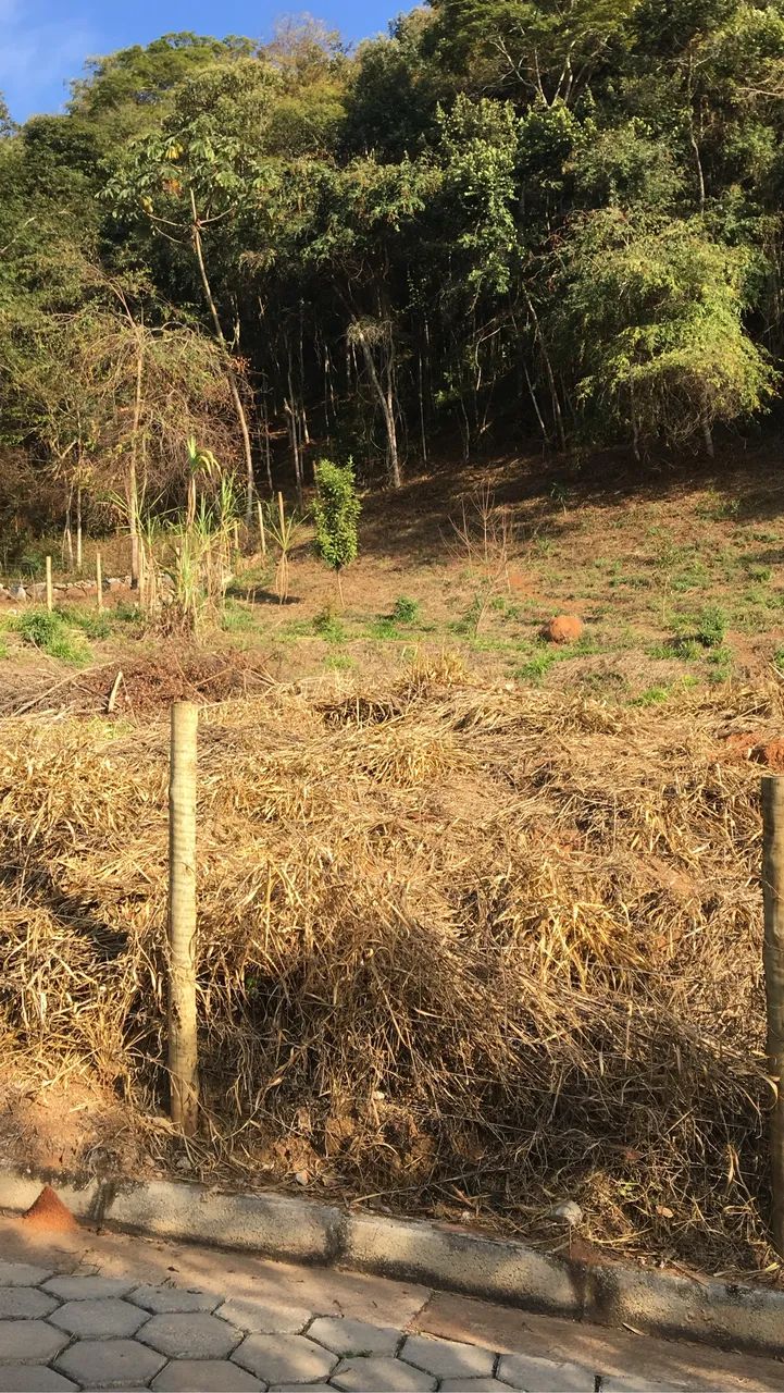 Lote 2.500 metros- Triângulo Verde - Foto 2