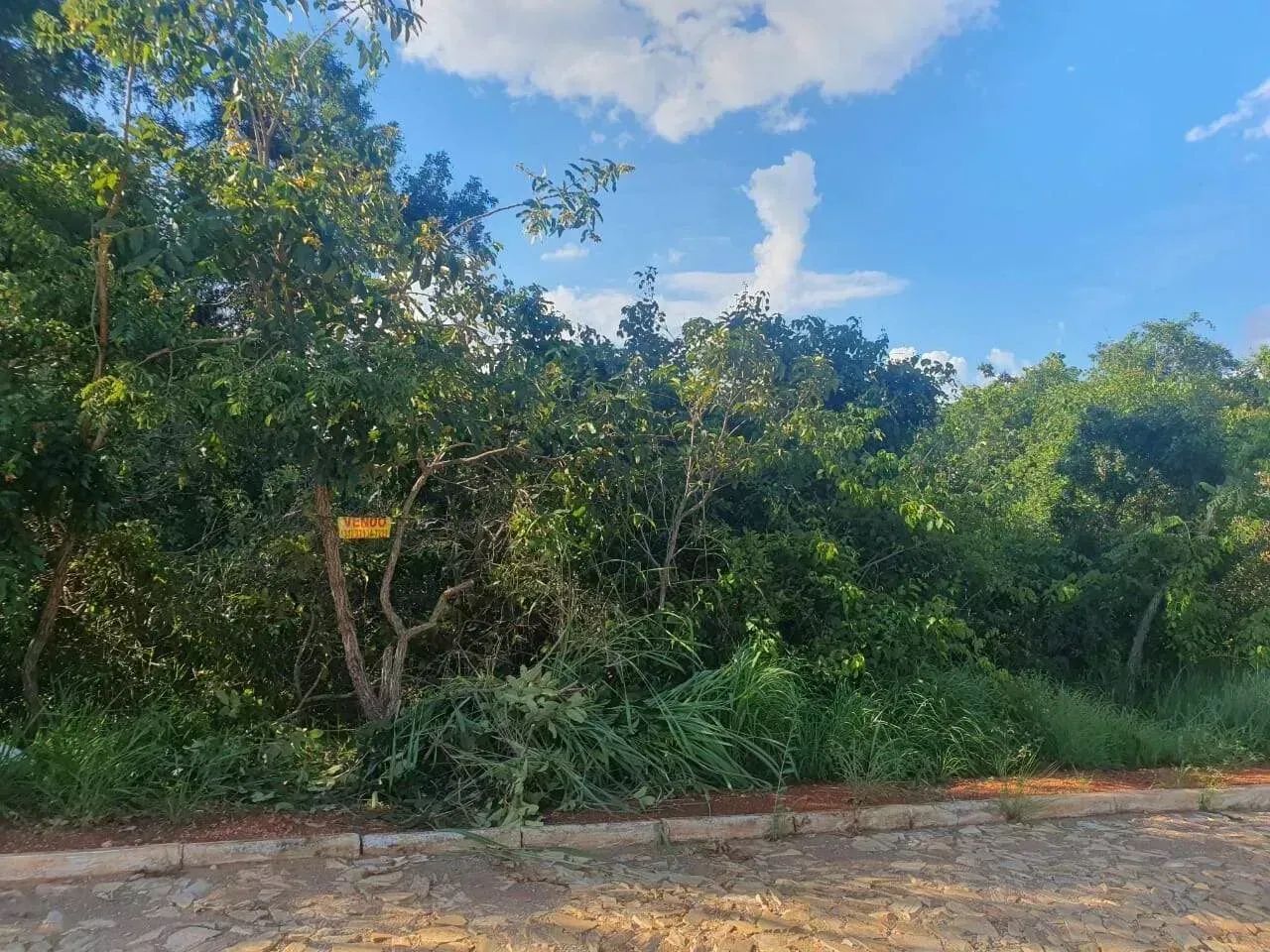 Terreno à venda em Estância do Campo - Foto 3