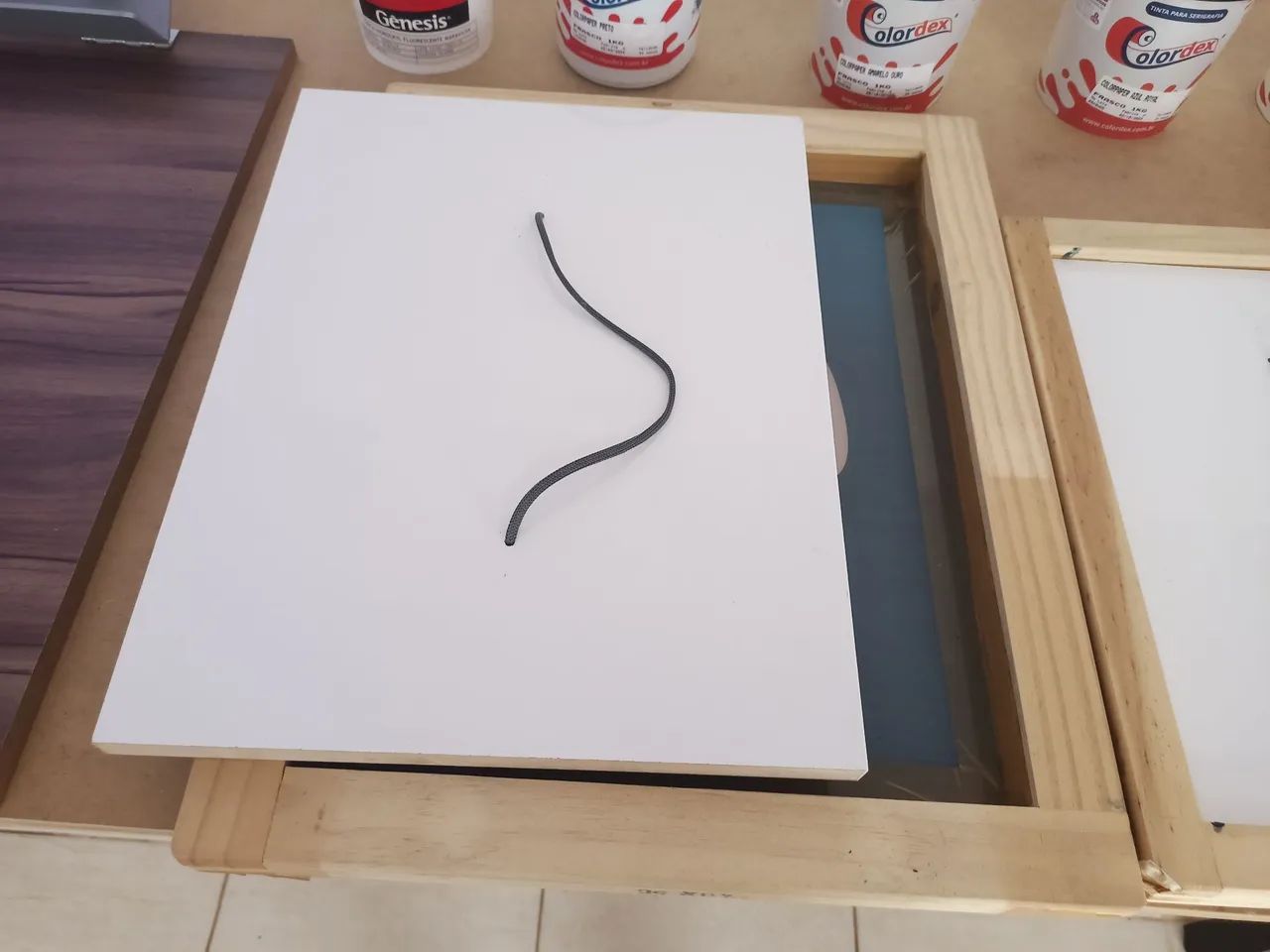 ÓTIMA OPORTUNIDADE DE GANHAR DINHEIRO COM  SERIGRAFIA  - Foto 3