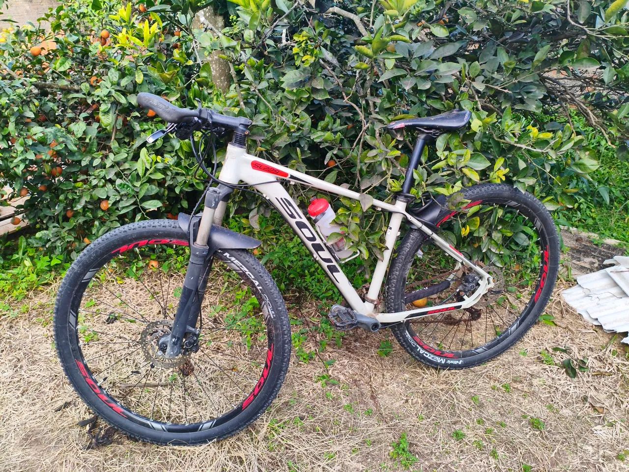 Bicicleta SL 229 Soul Altus