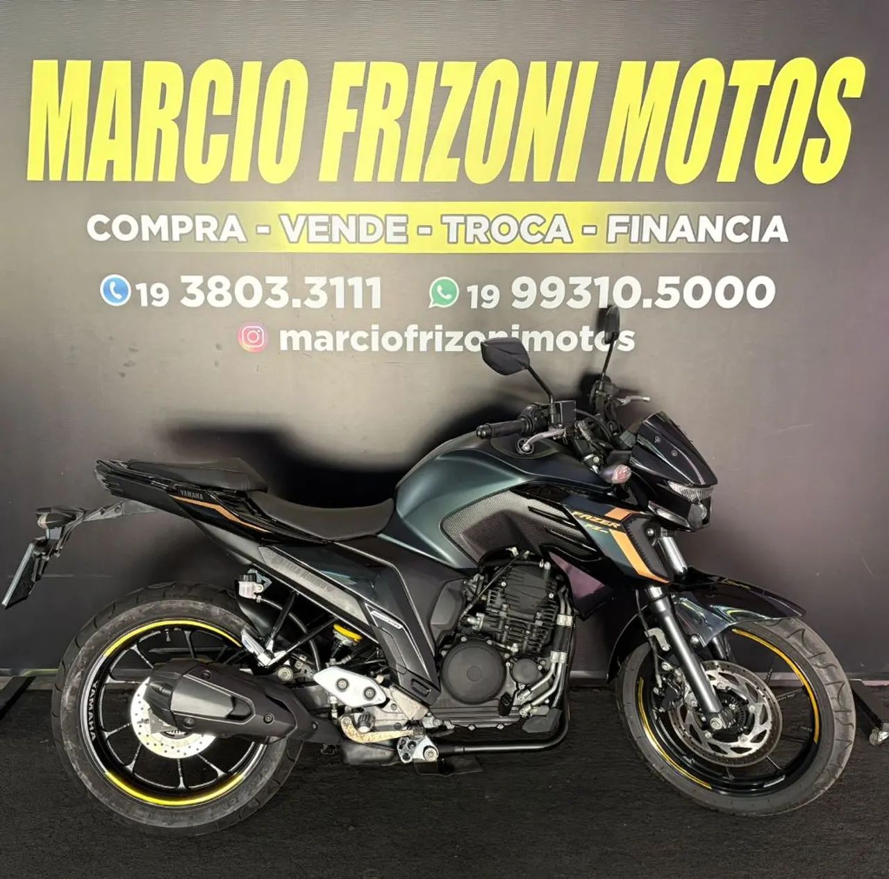 FZ25 250 FAZER FLEX