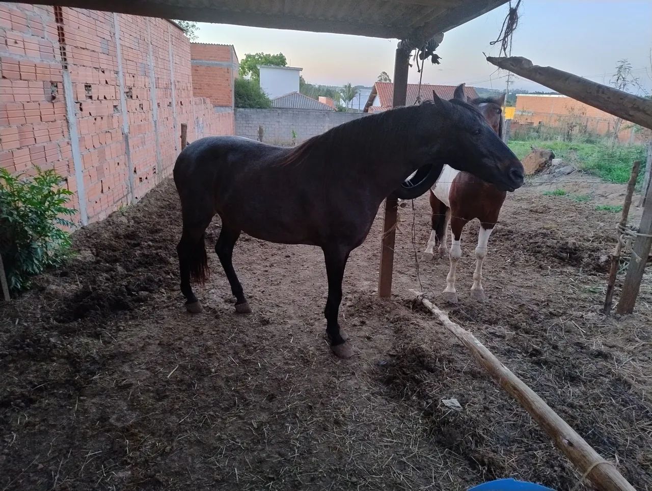 Marcha picada 8 mil - Foto 2